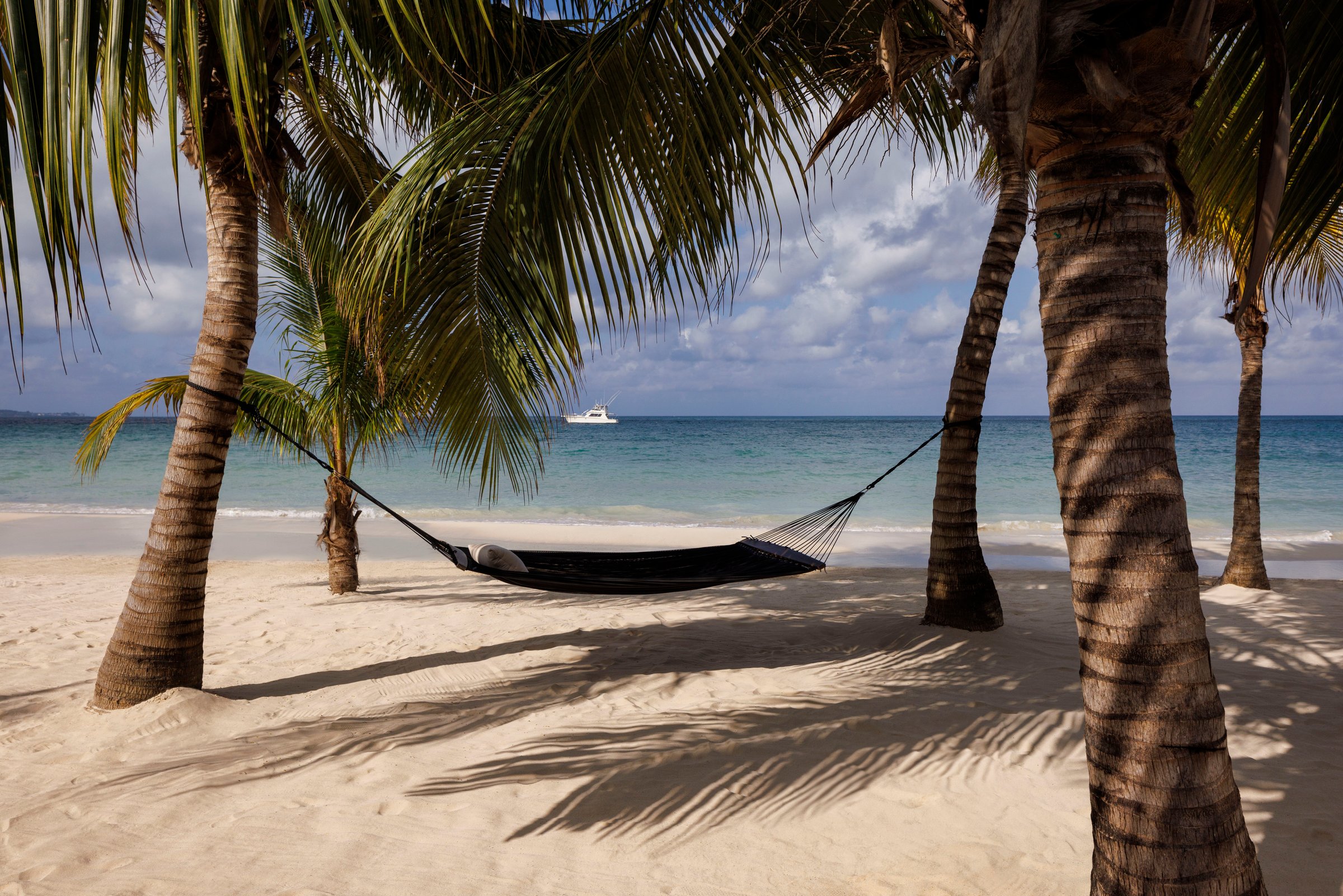 Hammock strung between palms on the beach facing the calm turquoise sea.