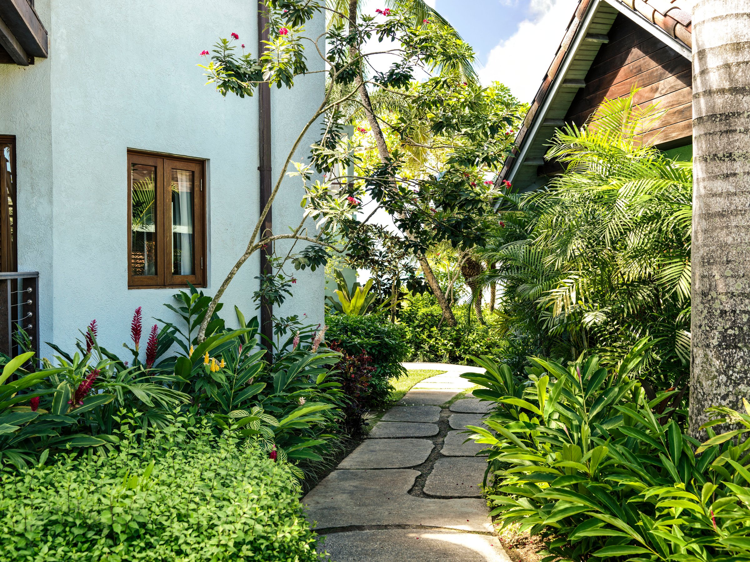 Stone garden pathway through tropical planting between the suite buildings.