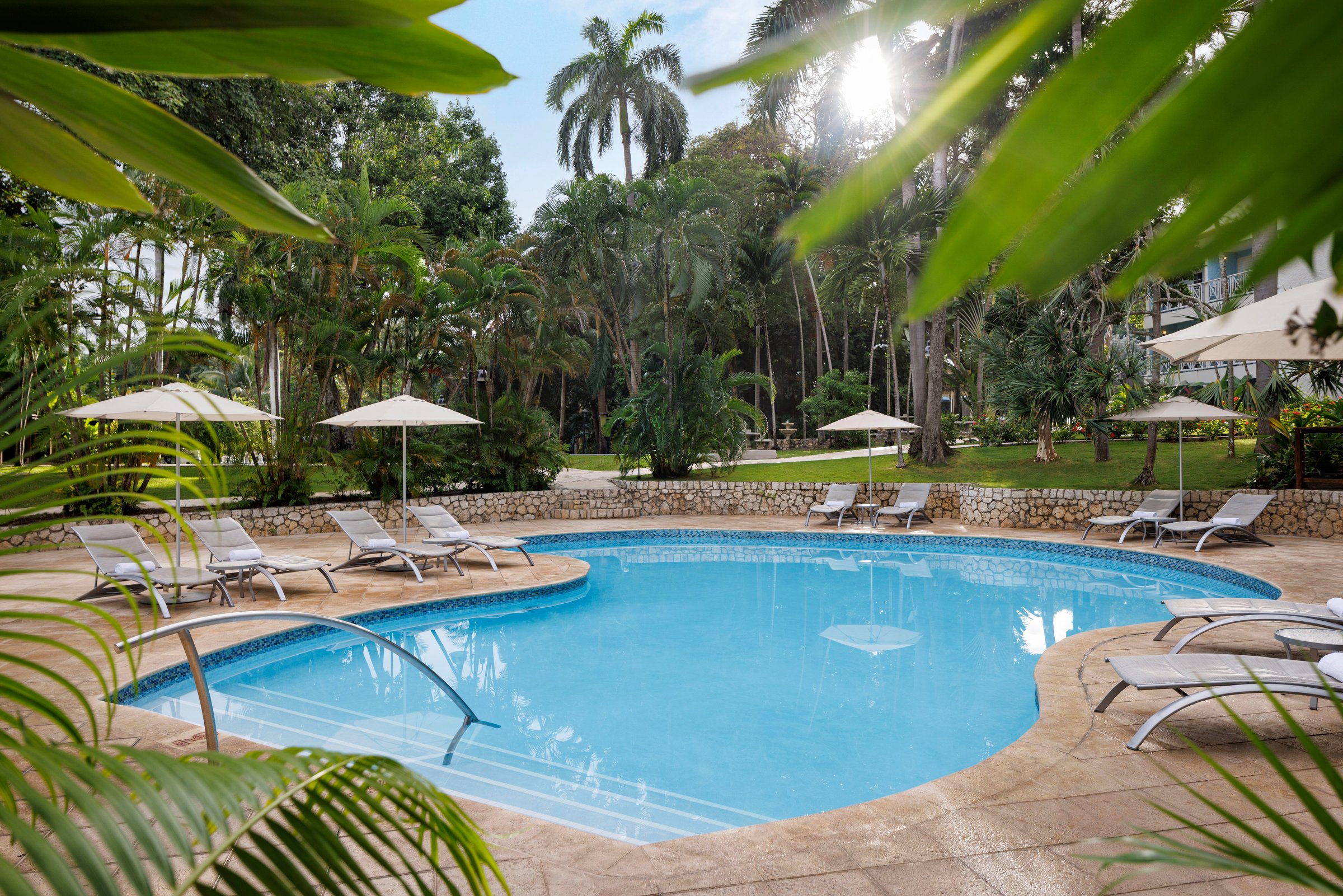 Garden pool with loungers and umbrellas under tall palms.