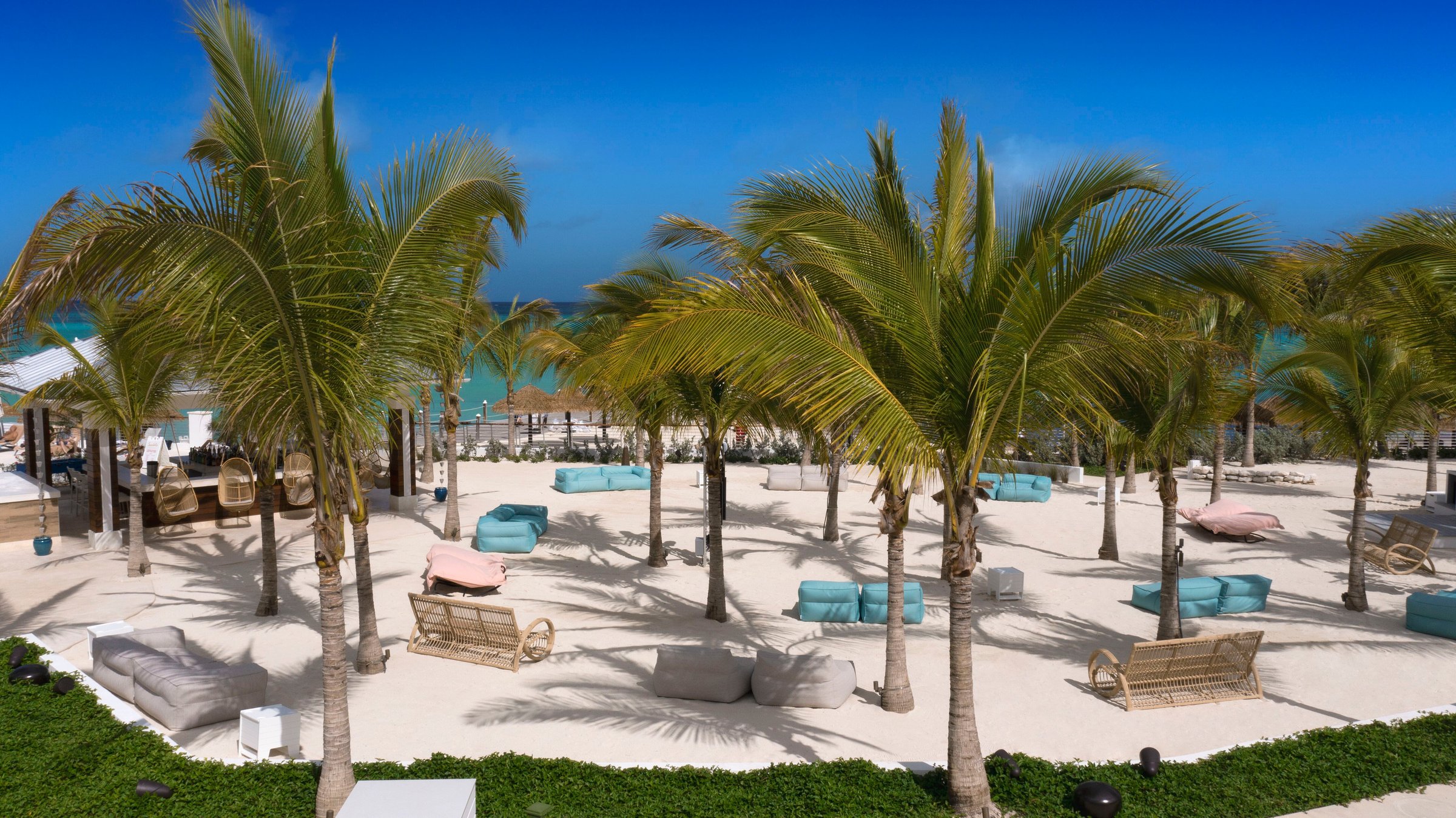 Coconut Grove beach lounge with palms, sun beds and turquoise cushions.