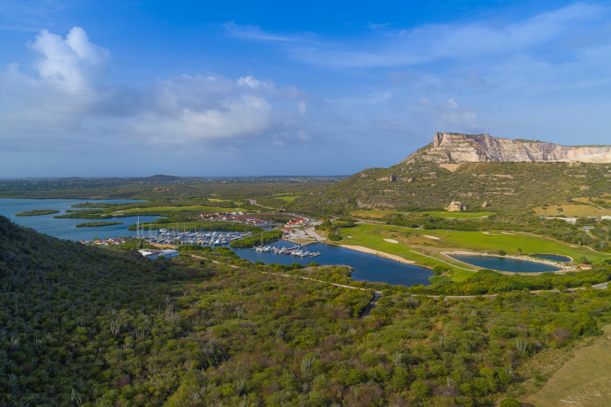 Aerial over the golf course, marina and Tafelberg mountain.