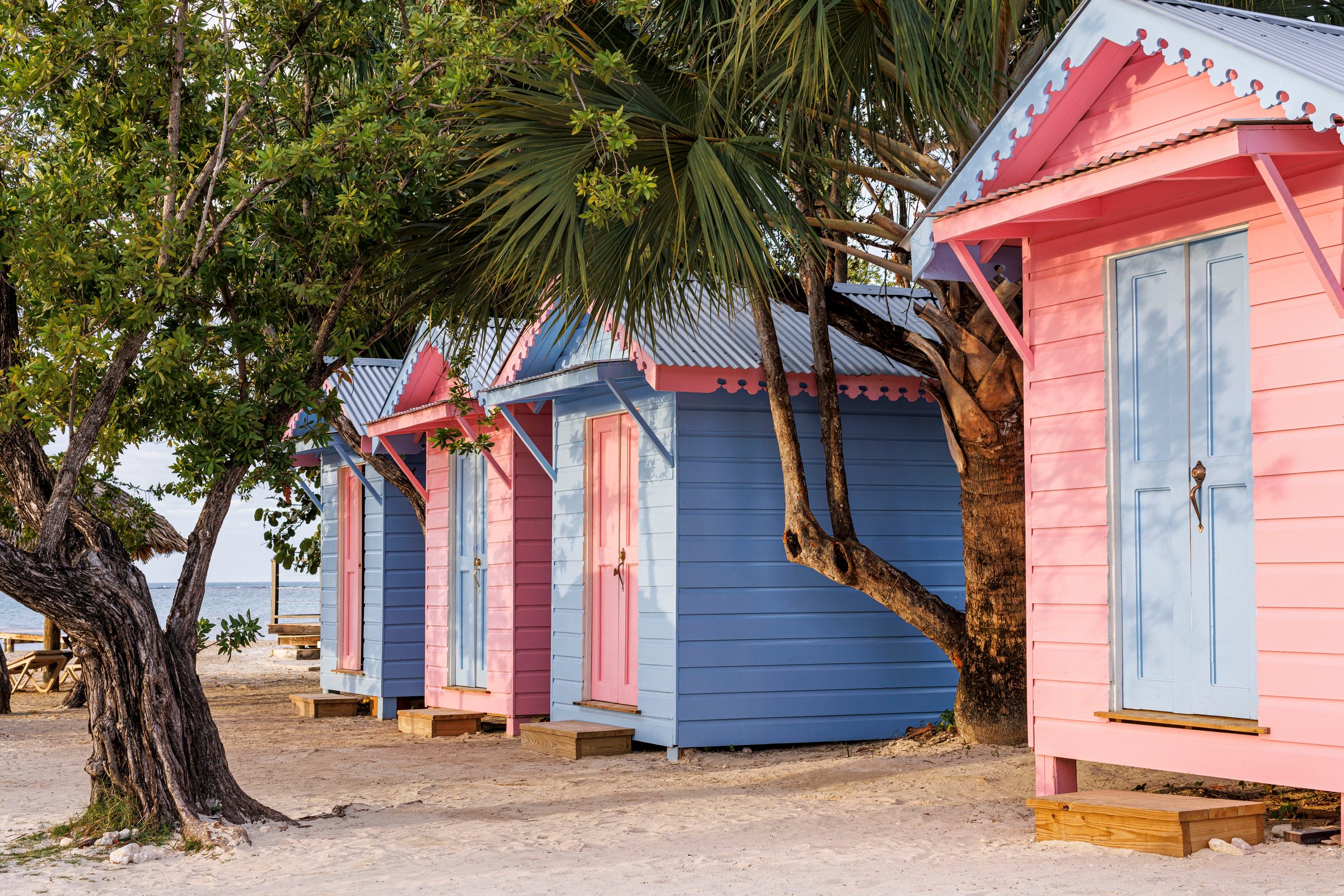 Pastel pink and blue beach cottages under shady trees.