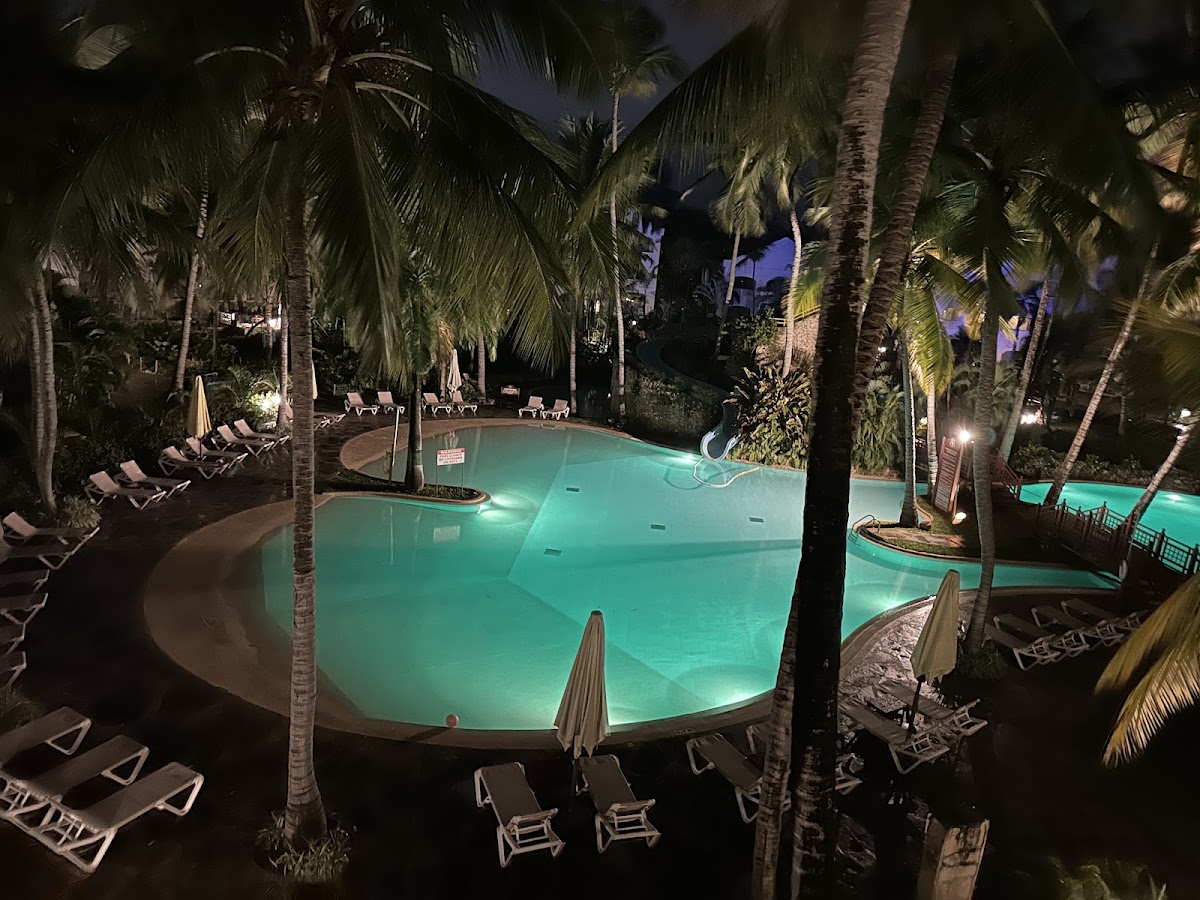 Illuminated pool surrounded by palm trees with lounge chairs and umbrellas at night.