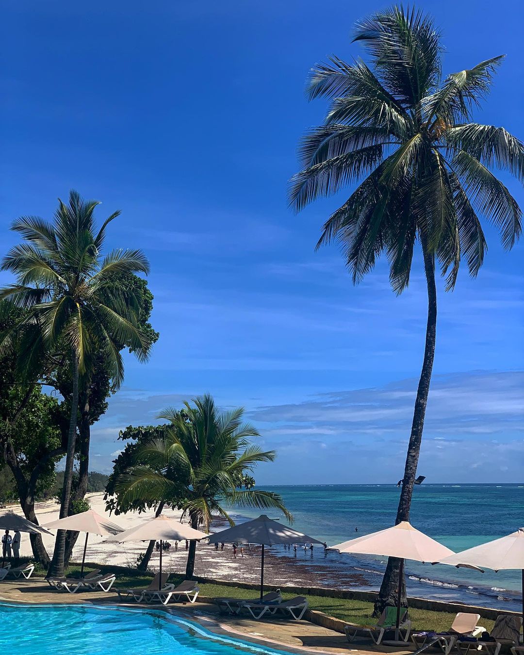 Pool and beach at Sarova Whitesands with palm trees, loungers, umbrellas, turquoise ocean and clear blue sky.