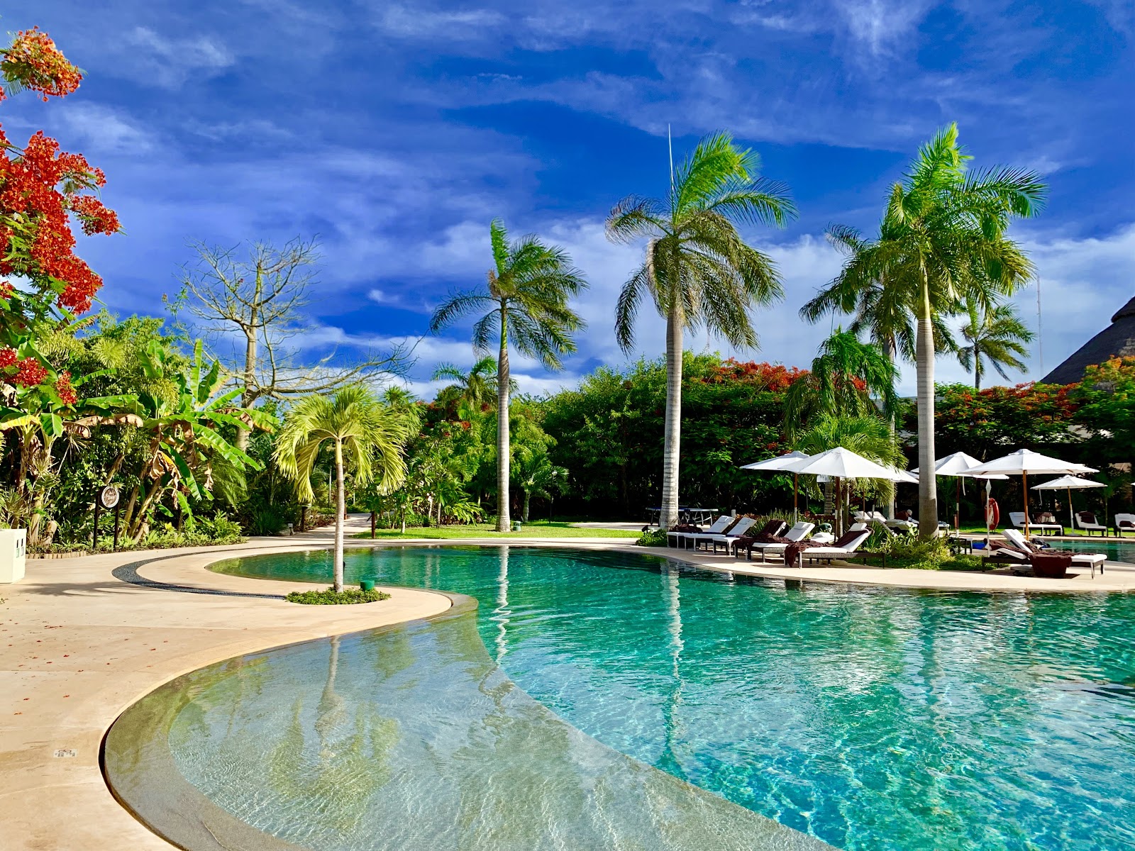 Curved lagoon-style pool with turquoise water, sandy beach entry, tall palms, white umbrellas, and tropical gardens under a blue sky at Secrets Akumal Riviera Maya.