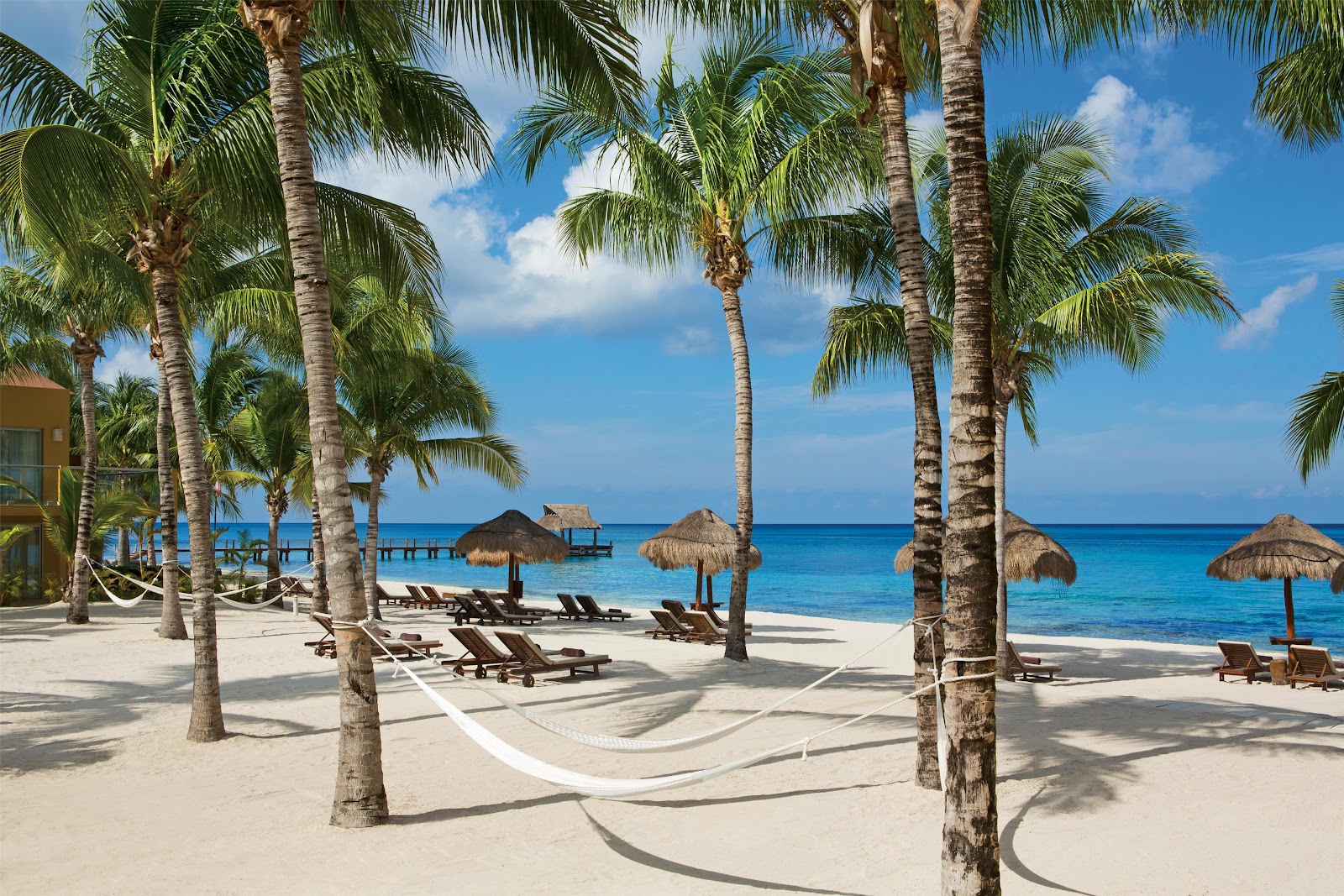 Palm trees frame the sandy beach at Secrets Aura Cozumel, with loungers, thatched umbrellas, and turquoise water beyond.