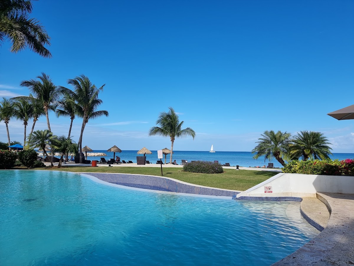 Resort pool with turquoise water, palm trees, and ocean view with beach loungers and thatched umbrellas beyond.