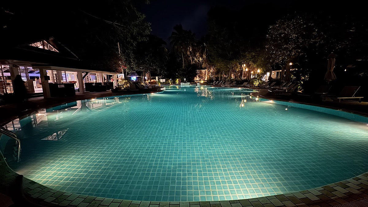 Illuminated resort pool at night surrounded by tropical palms, lit buildings, and lounge chairs along the tiled deck.