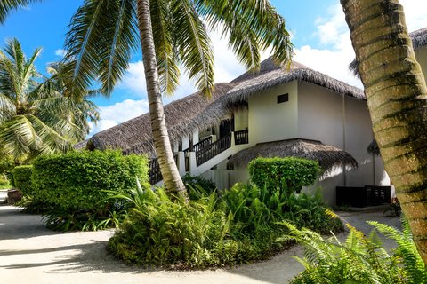 White bungalow with thatched roof surrounded by tall palm trees and lush green vegetation at Sheraton Maldives Full Moon Resort & Spa.