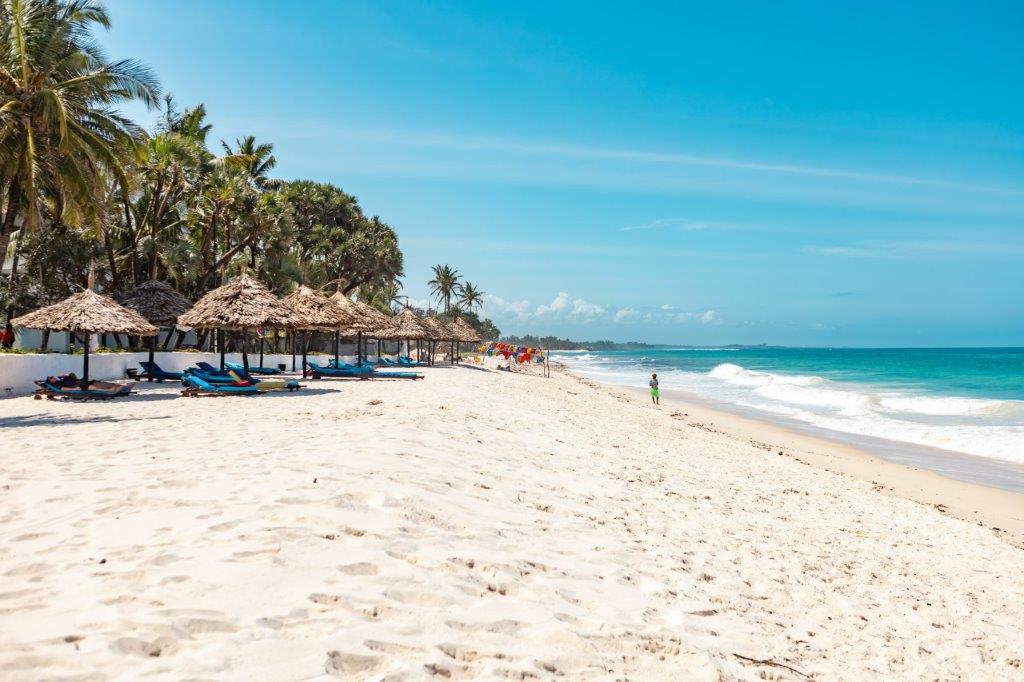 Sandy beach with thatched umbrellas, lounge chairs, and palm trees along the shore at Southern Palms Beach Resort.