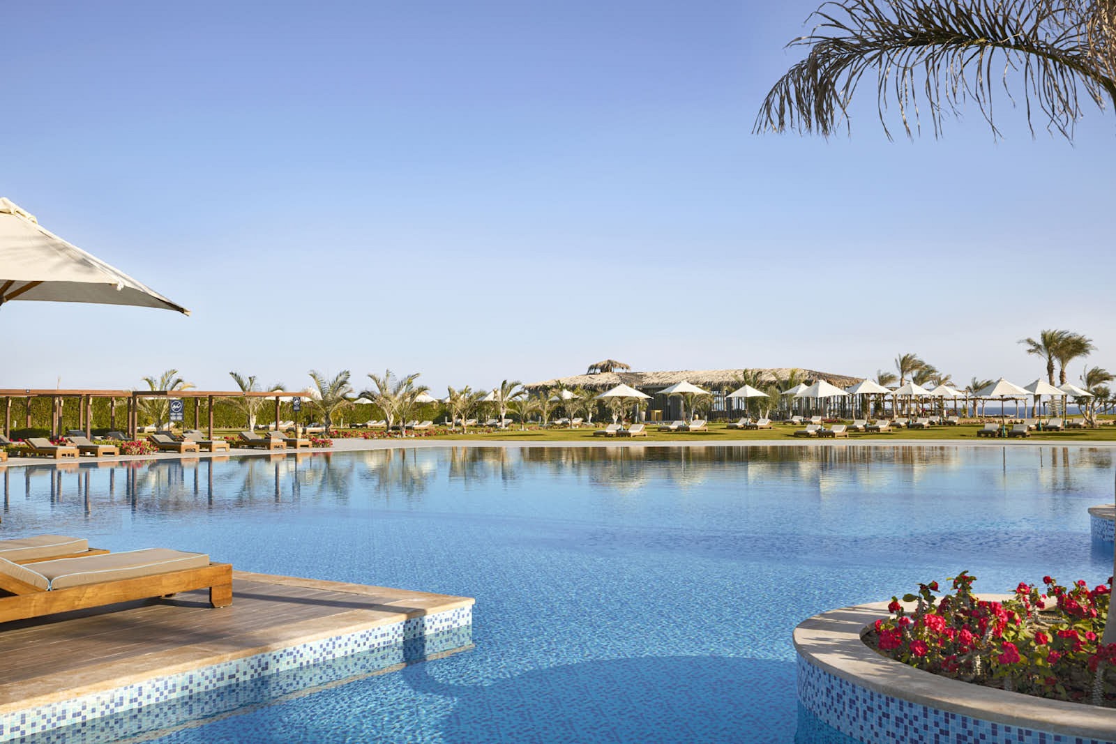 Large lagoon-style pool with wooden loungers, red flowers in foreground, and palm trees lining the Steigenberger Resort Alaya Marsa Alam under clear blue sky.