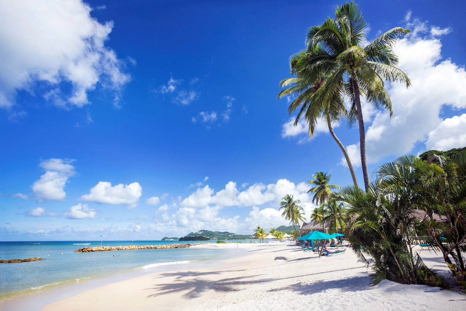 Sandy beach at Rendezvous with tall palm trees, turquoise water, blue umbrellas, and mountainous coastline under clear sky.