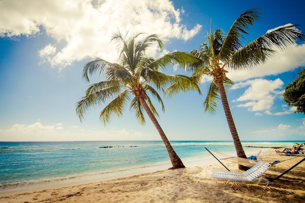 Two palm trees lean toward turquoise water on a sandy beach at Sugar Bay Barbados, with a hammock and loungers in the foreground.