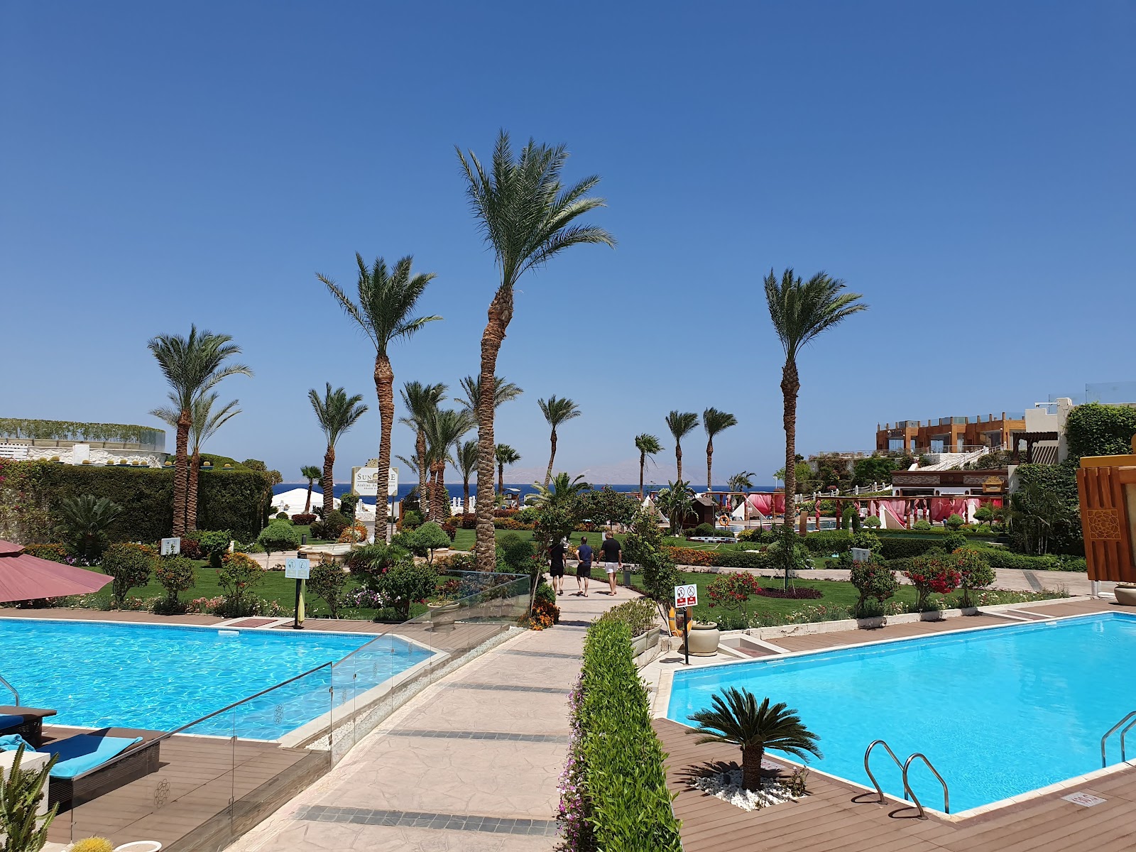 Two bright blue pools flanked by palm trees and manicured gardens at SUNRISE Arabian Beach Resort, with the Red Sea and resort buildings visible beyond.