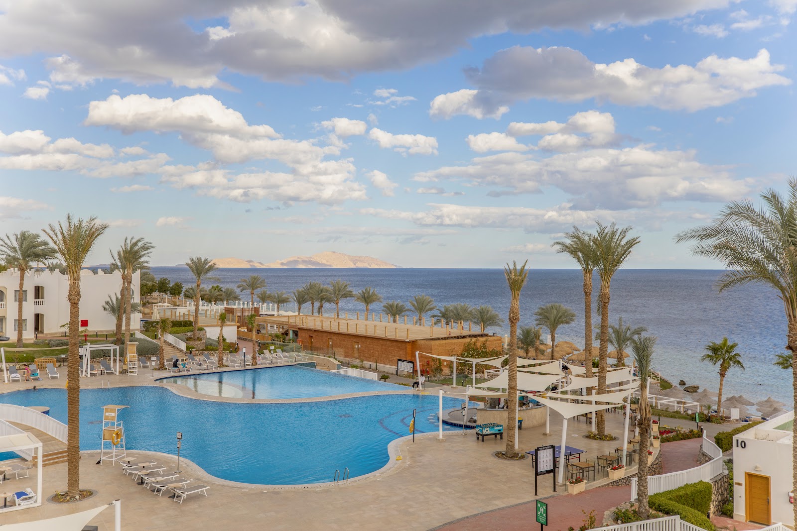 Sunrise Select Diamond Beach Resort's curved pool overlooks the Red Sea, with palm trees, loungers, and sandy beach beneath a partly cloudy sky.