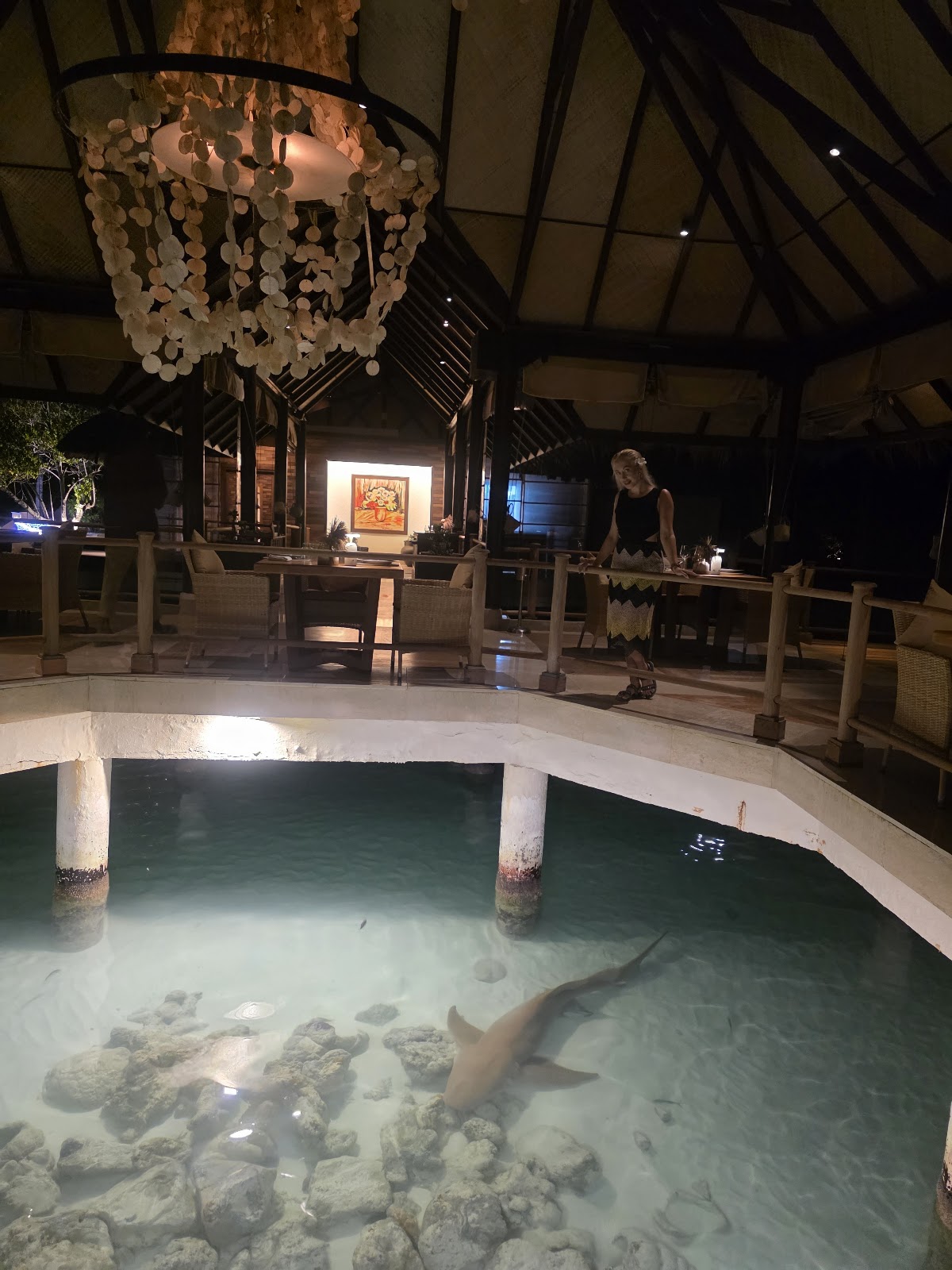 Indoor lagoon pool at night with a shark swimming in clear water, decorative shell chandelier overhead, and staff at the bar in a covered pavilion.