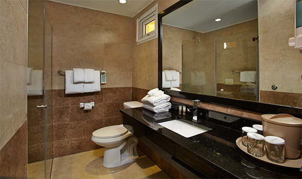 Bathroom with brown tile walls, black vanity with large mirror, toilet, and glass shower enclosure stocked with white towels.