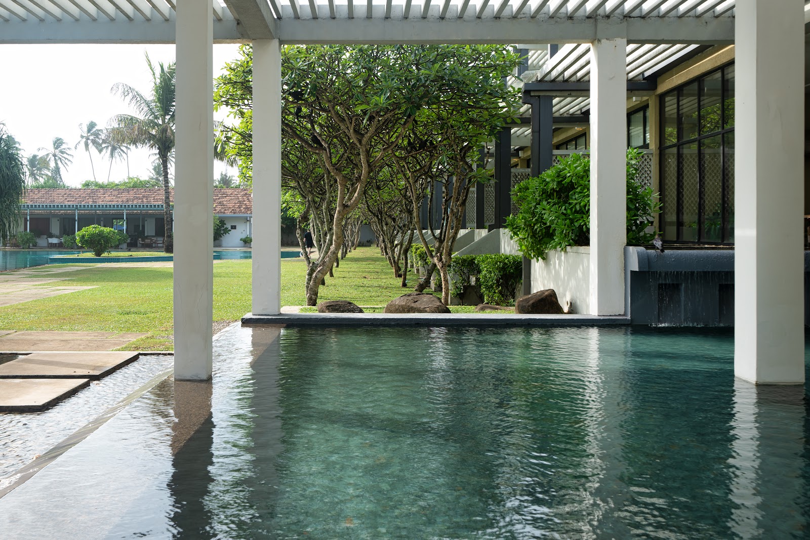 Tropical resort infinity pool framed by white columns, with manicured lawn, mature trees, and colonial-style buildings visible beyond.