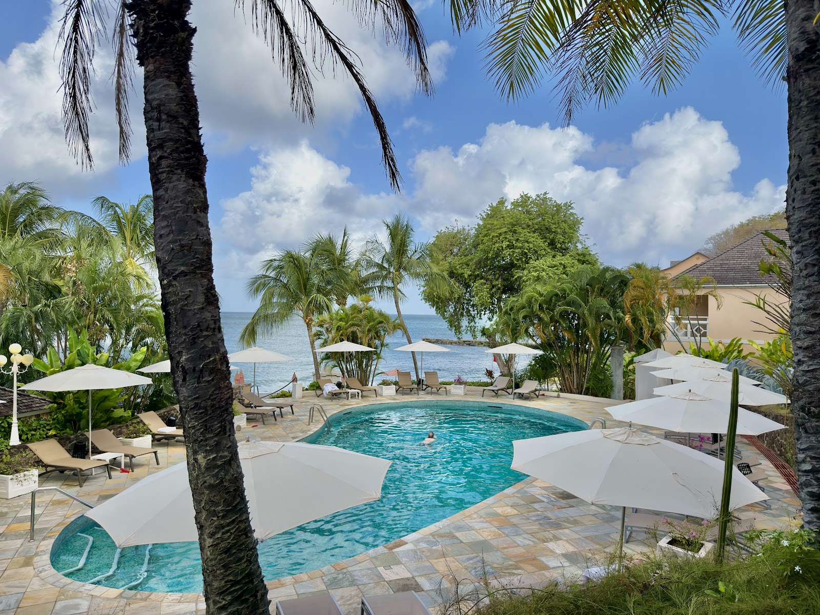 Curved pool with white umbrellas and palm trees, ocean and beach beyond at The BodyHoliday resort in St. Lucia.