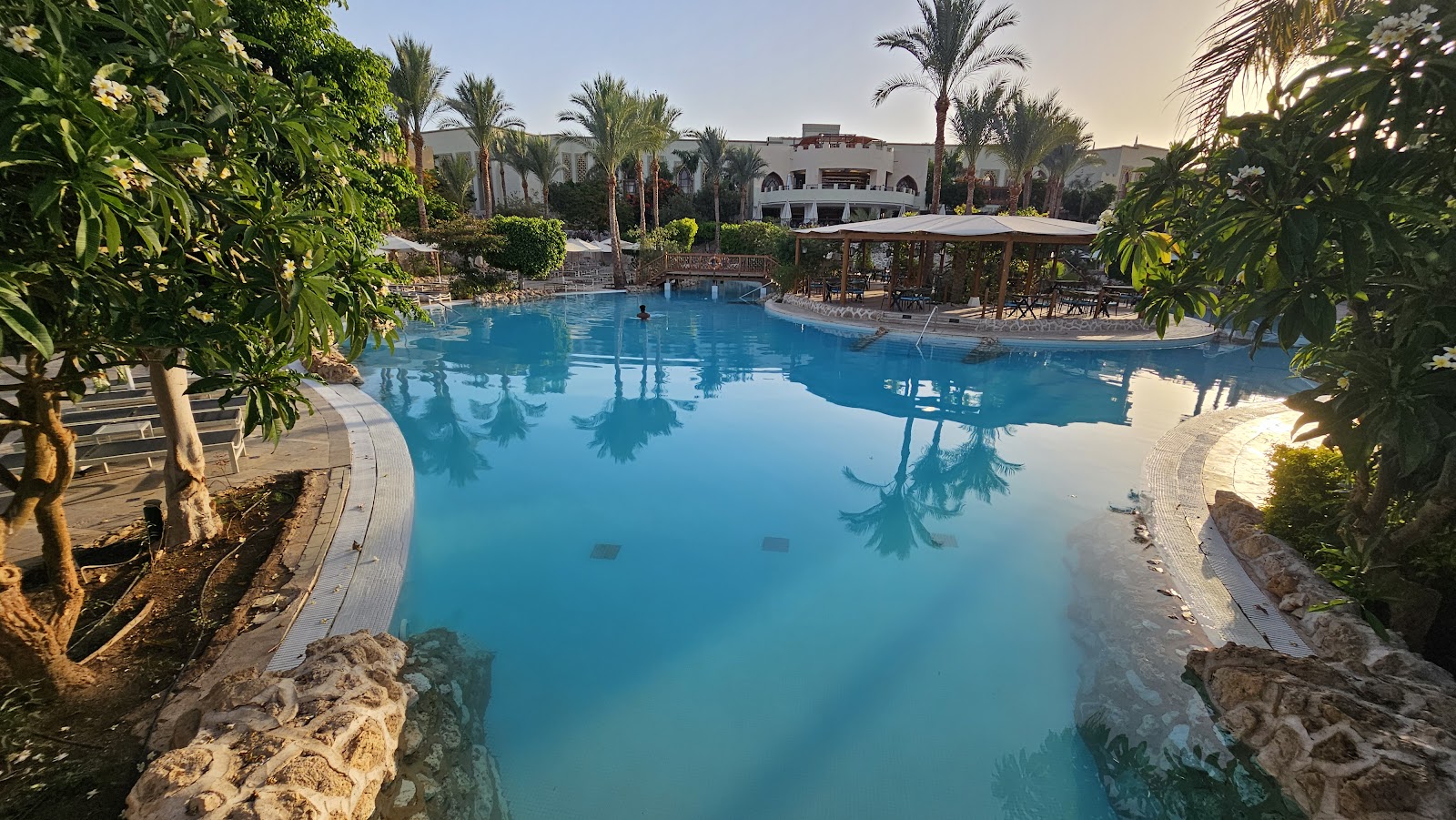 Large blue pool surrounded by palm trees and lush greenery, with the white main building and thatched-roof bar visible across the water at The Grand Hotel Sharm El Sheikh.
