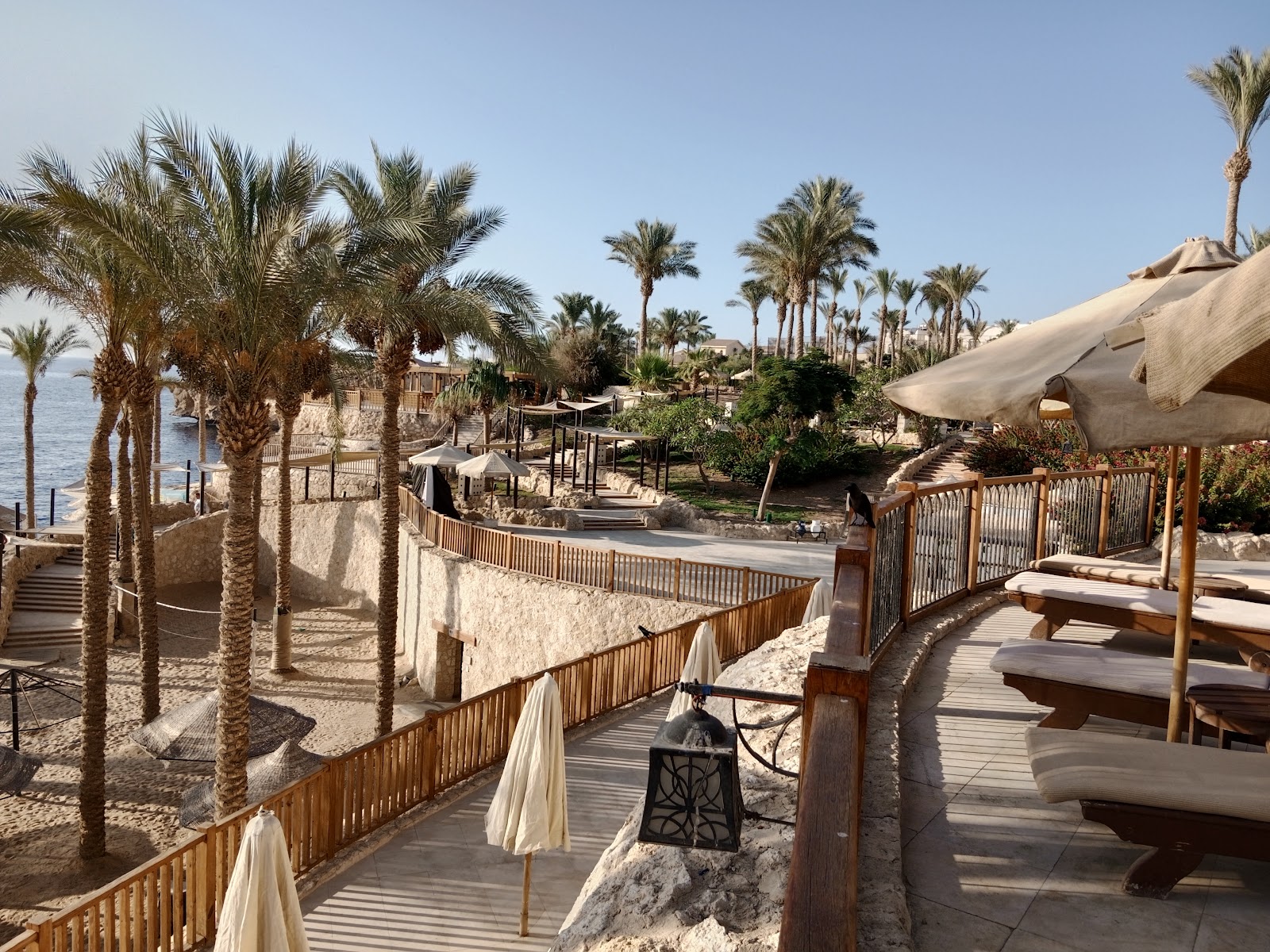 Turquoise pool with sandy beach, lounge chairs, and umbrellas facing cream-colored resort buildings surrounded by palm trees and tropical vegetation.