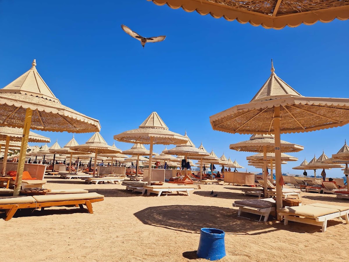 Sandy beach at The Grand Resort with rows of thatched umbrellas, loungers, and a clear blue sky overhead.