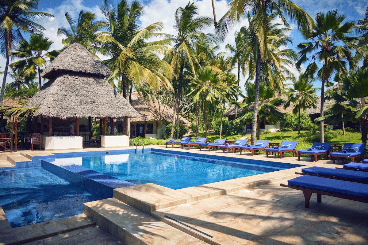 Resort pool with blue loungers and thatched-roof bar surrounded by tall palm trees under clear sky.