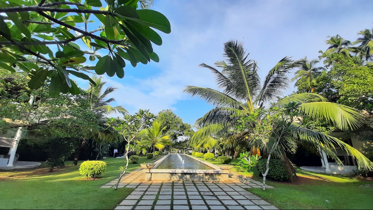 Paved pathway lined with palm trees and lush gardens leading through The Villas Wadduwa by Amaya grounds under blue sky.