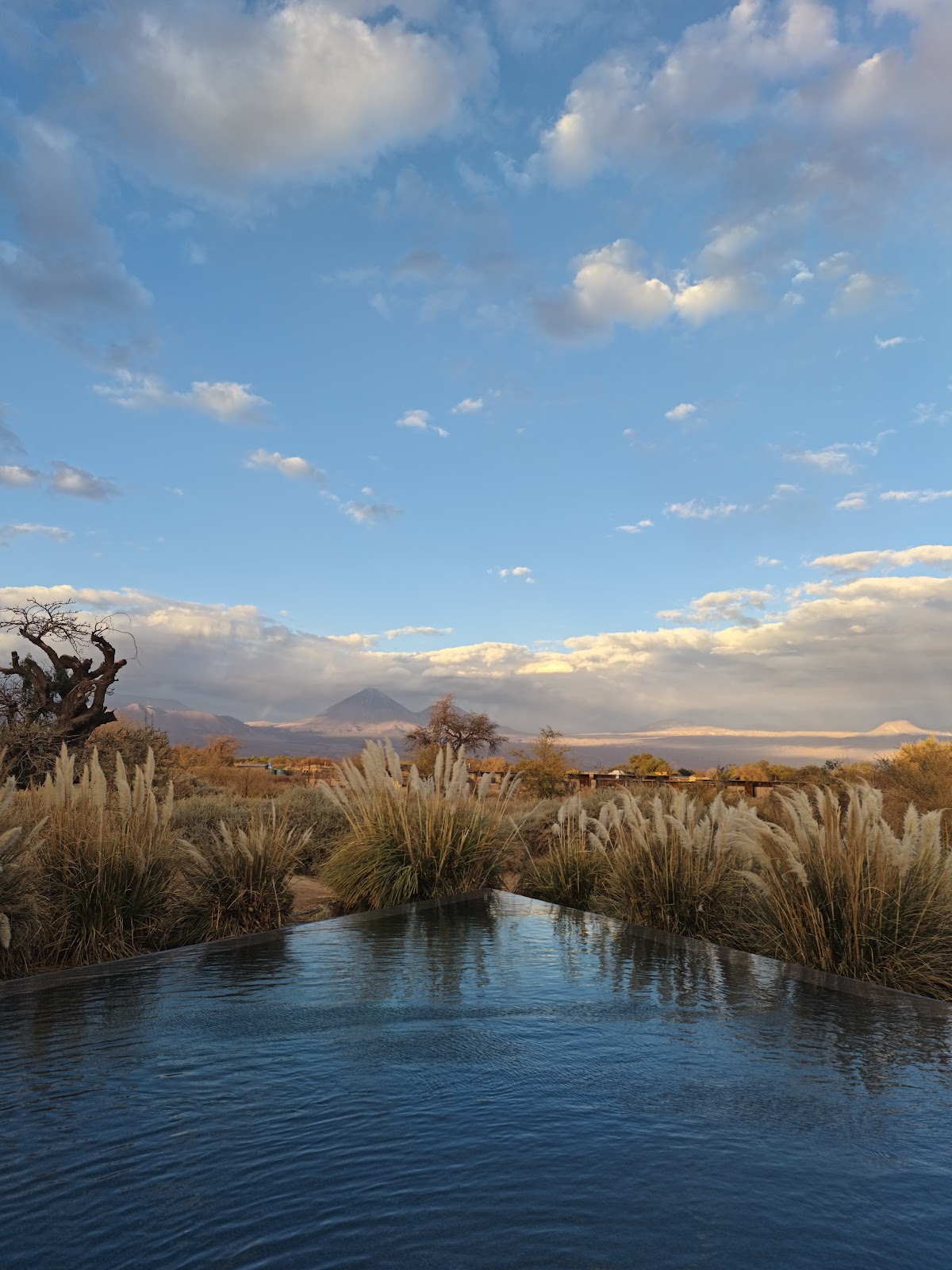 Infinity pool bordered by native grasses overlooks desert landscape with distant volcanoes under blue sky at Tierra Atacama.