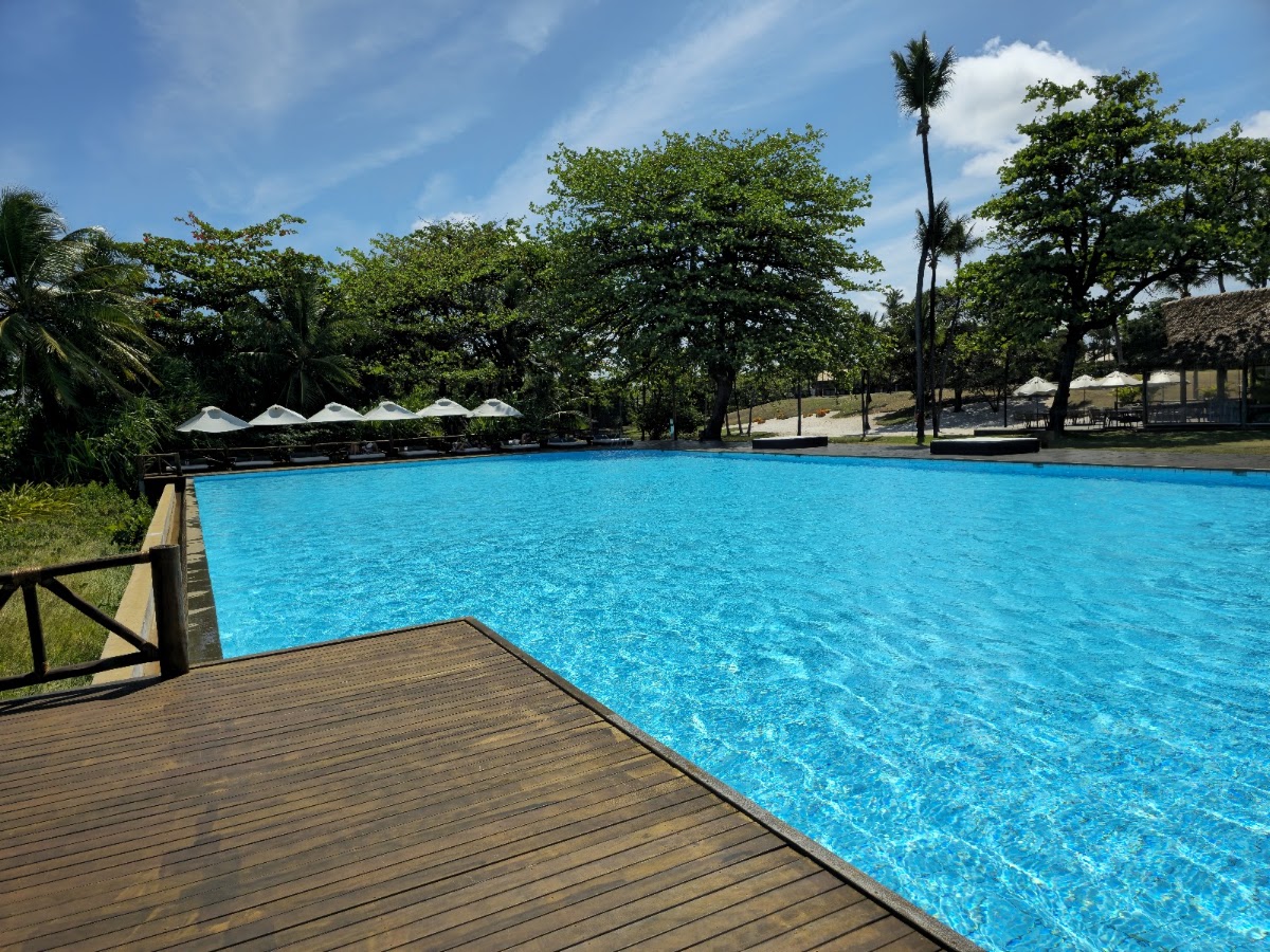 Large turquoise pool with wooden deck and white umbrellas, surrounded by tall palms and trees under blue sky at Tivoli Ecoresort Praia do Forte.