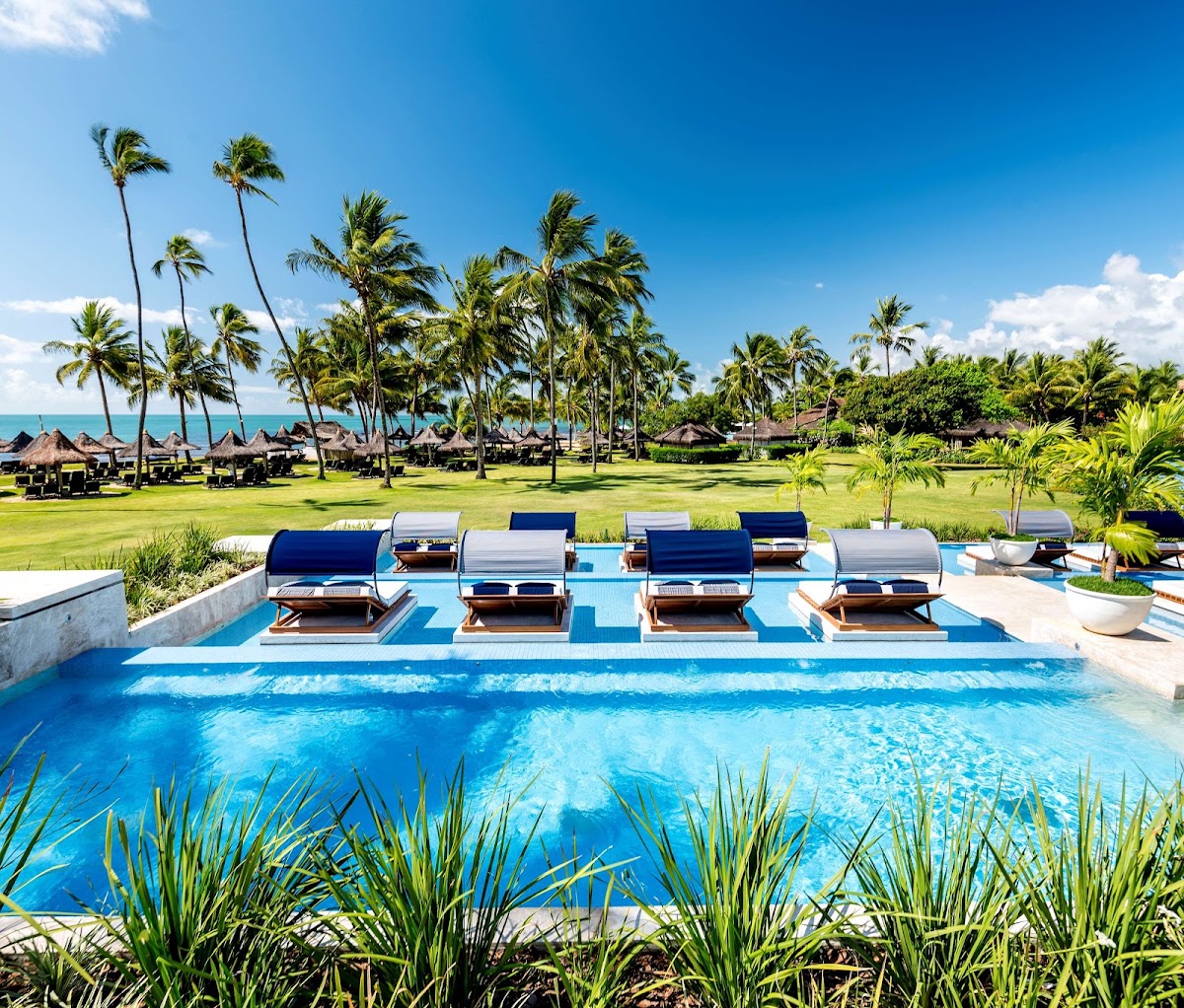 Bright blue pool with cushioned loungers facing a lawn, palm trees, thatched cabanas, and turquoise ocean beyond under clear sky.