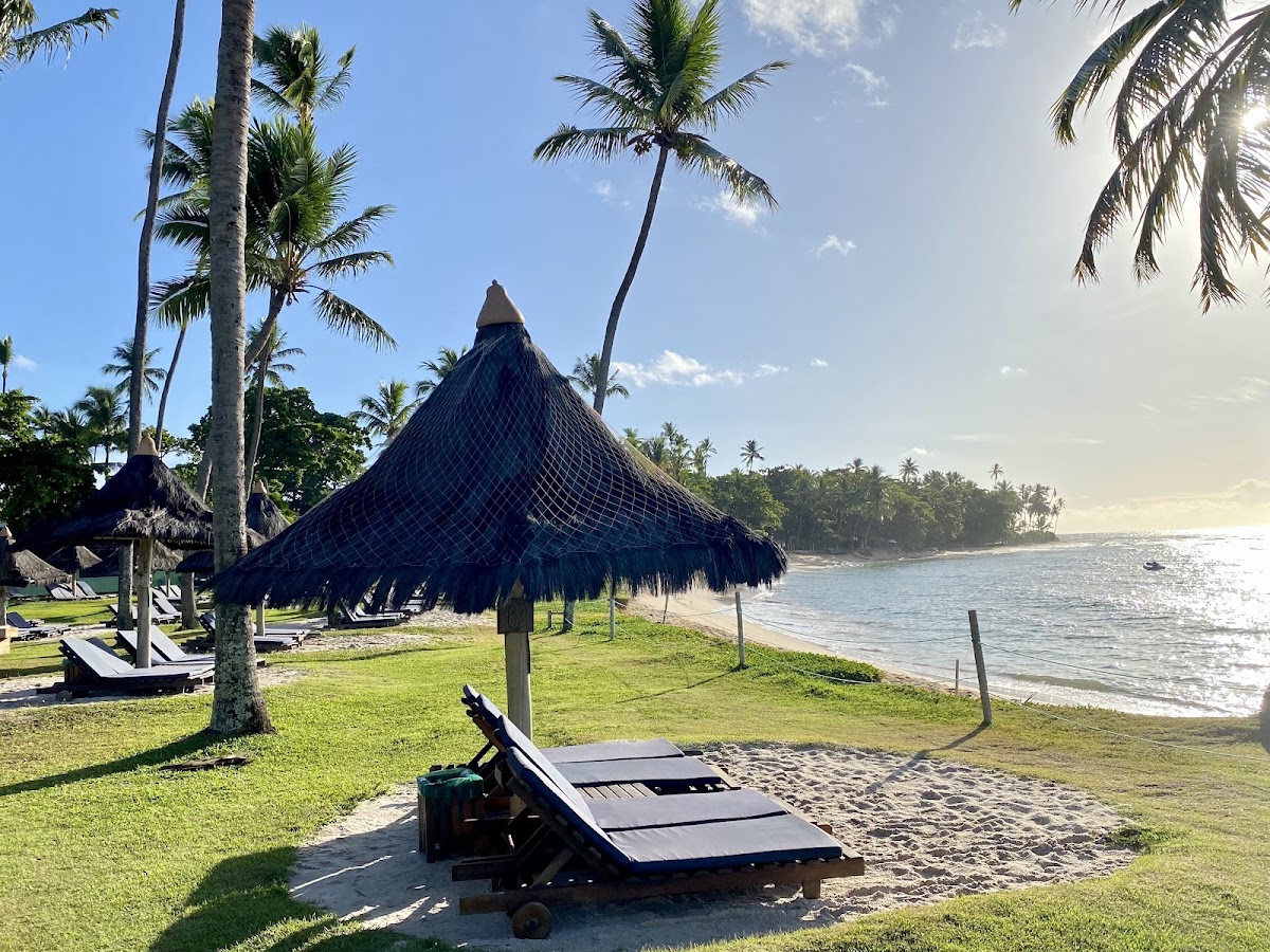 Beach lounge chairs on sand near a thatched-roof bungalow with palm trees and ocean view at Tivoli Ecoresort Praia do Forte.