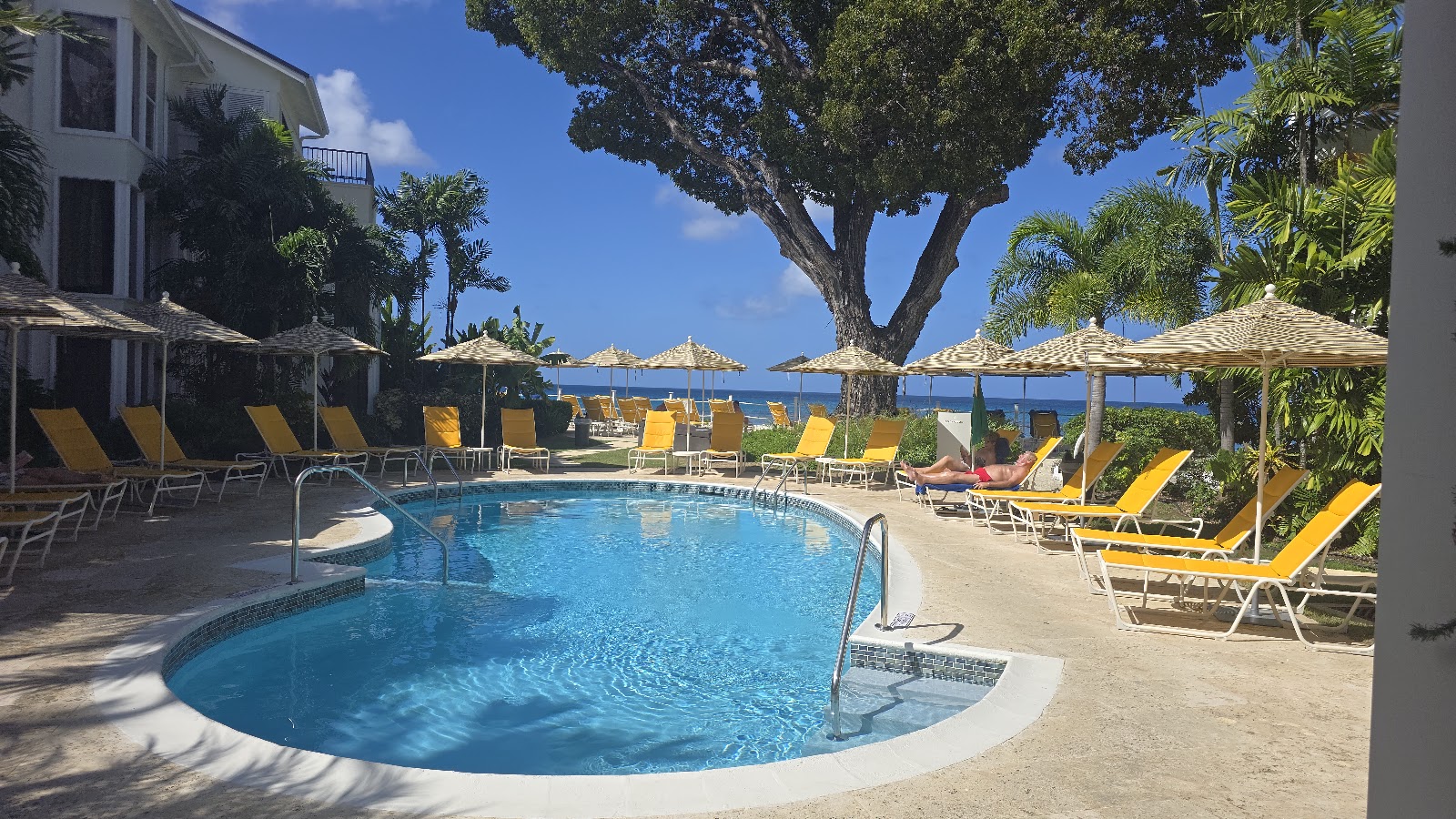 Resort pool with yellow loungers and striped umbrellas, ocean and beach beyond, large tree overhead, white building and palm trees nearby.