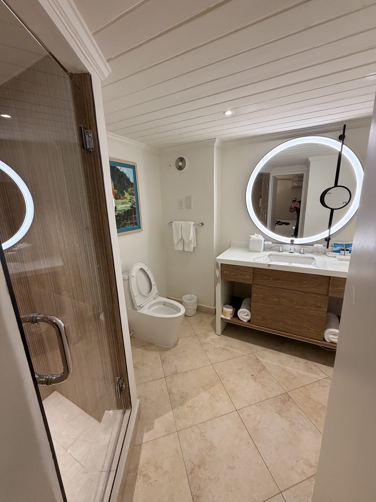 Modern bathroom with walk-in shower, illuminated round mirror, wood vanity, and white coffered ceiling at Treasure Beach Art Hotel.