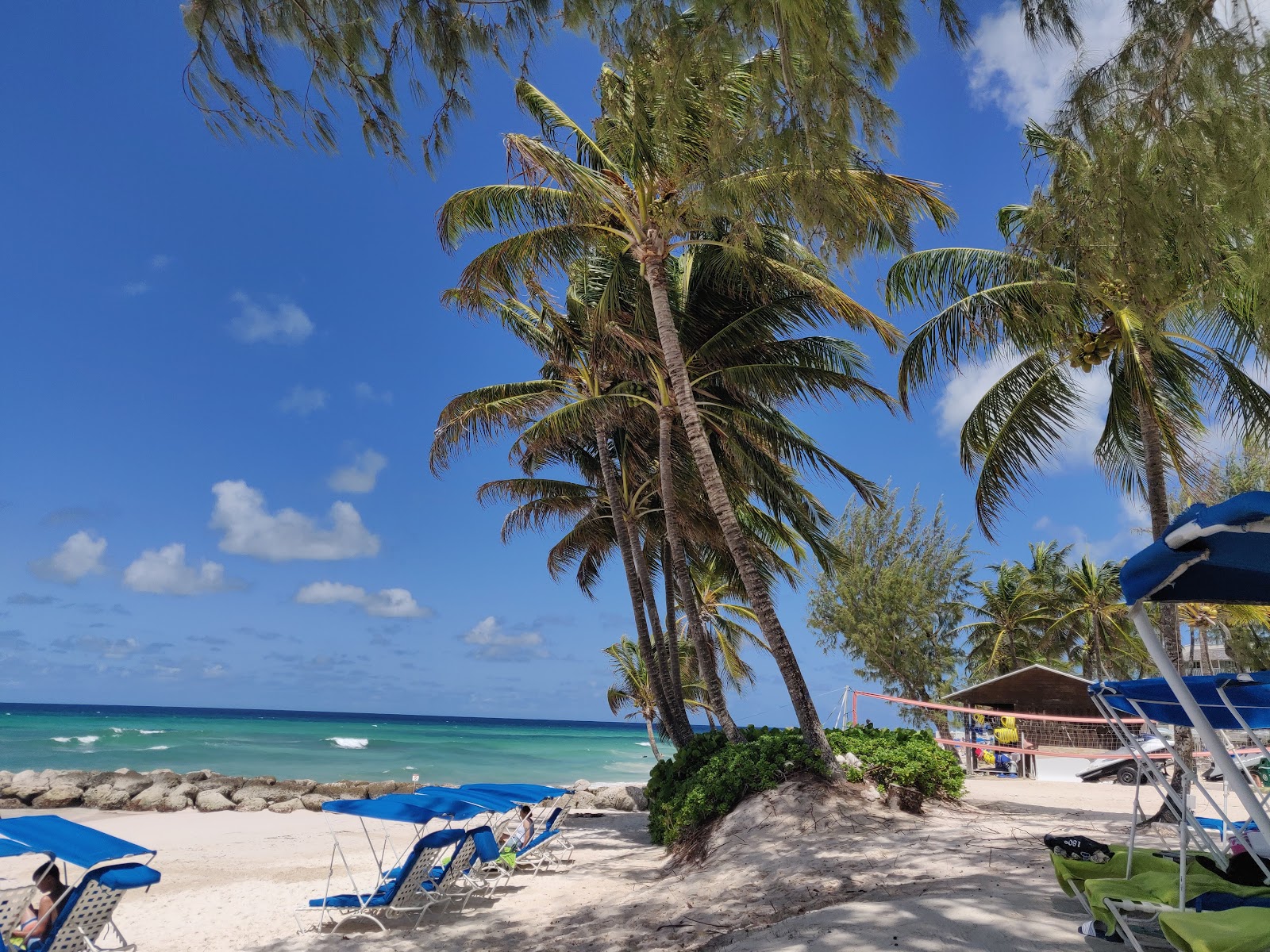 Palm trees frame a sandy beach with turquoise water and blue umbrellas at Turtle Beach, Barbados.