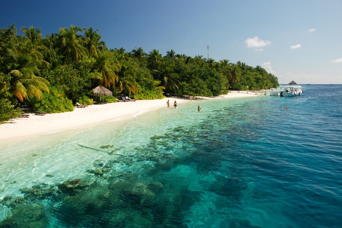 White sand beach with palm trees and lush vegetation, turquoise shallow water with swimmers, and a moored boat under clear blue sky.