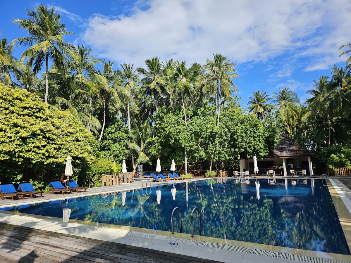 Blue lounge chairs and white umbrellas line the pool deck at Vilamendhoo Island Resort surrounded by tall palms and tropical vegetation.