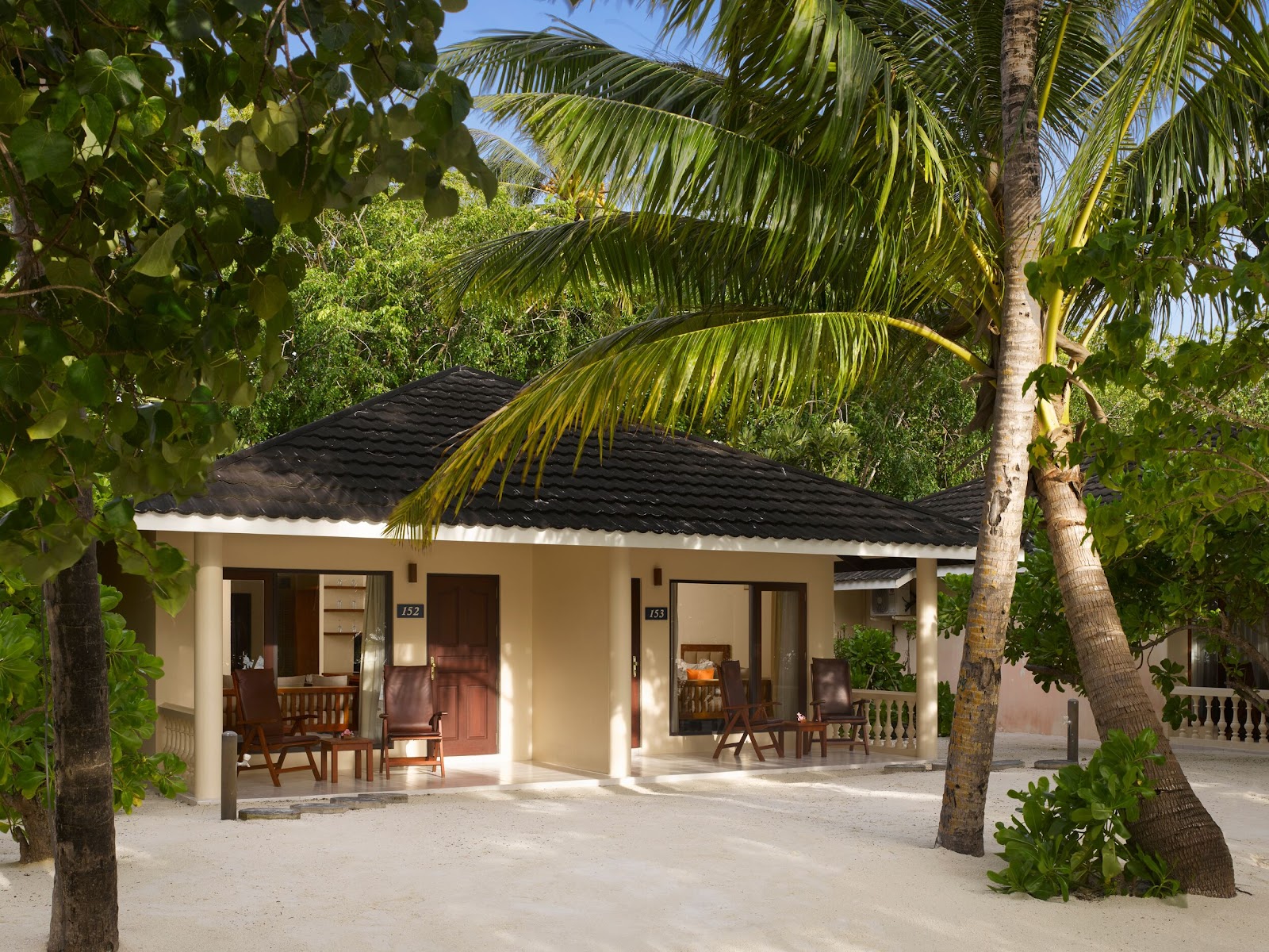 Beachfront bungalow with cream walls and black roof surrounded by palm trees and tropical vegetation on white sand.