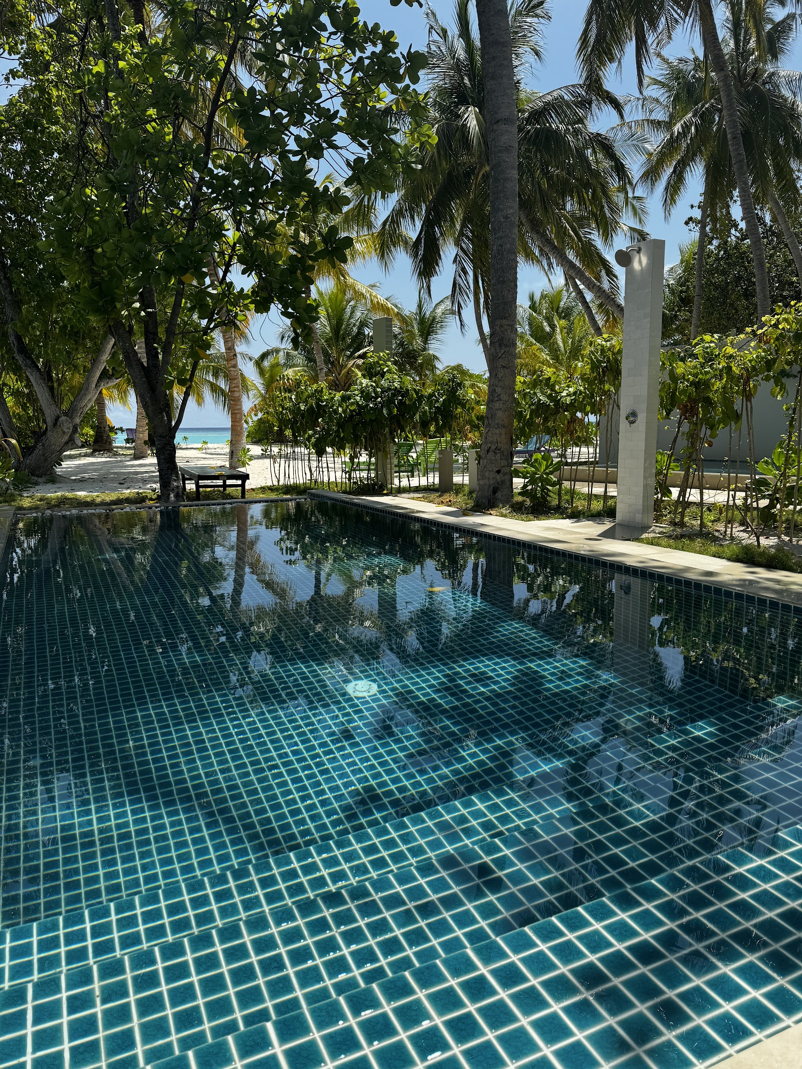 Private villa with blue-tiled plunge pool framed by lush green foliage and palm trees at Villa Park, Maldives.