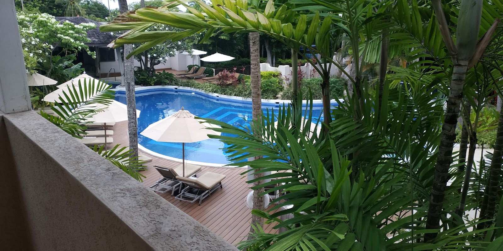 Blue swimming pool surrounded by palm trees and white umbrellas with lounge chairs on a wooden deck at Waves Resort & Spa.