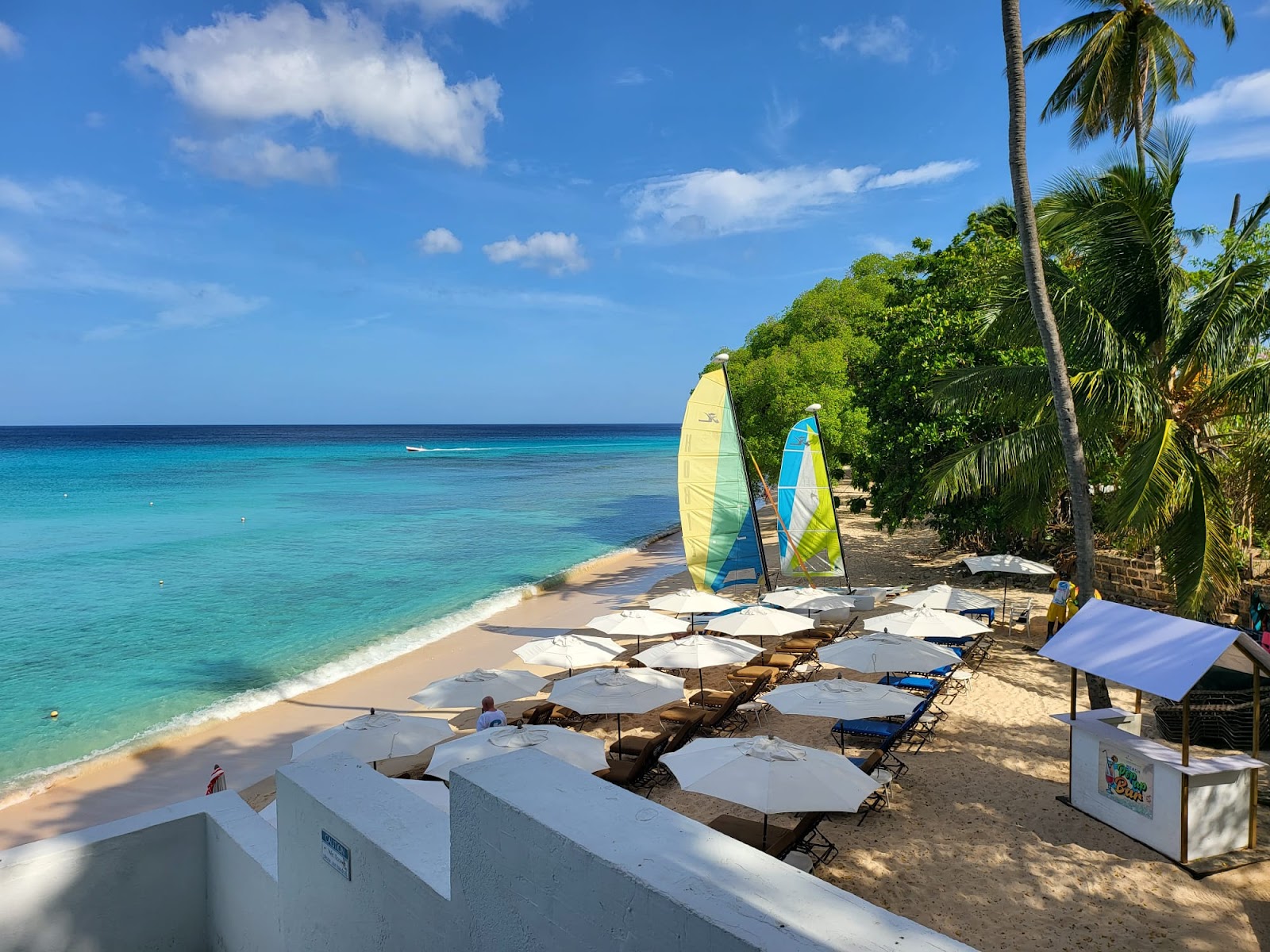 Beach with white umbrellas and loungers on sand, turquoise water, yellow and blue windsurfing sails, palm trees, and clear sky at Waves Resort & Spa.